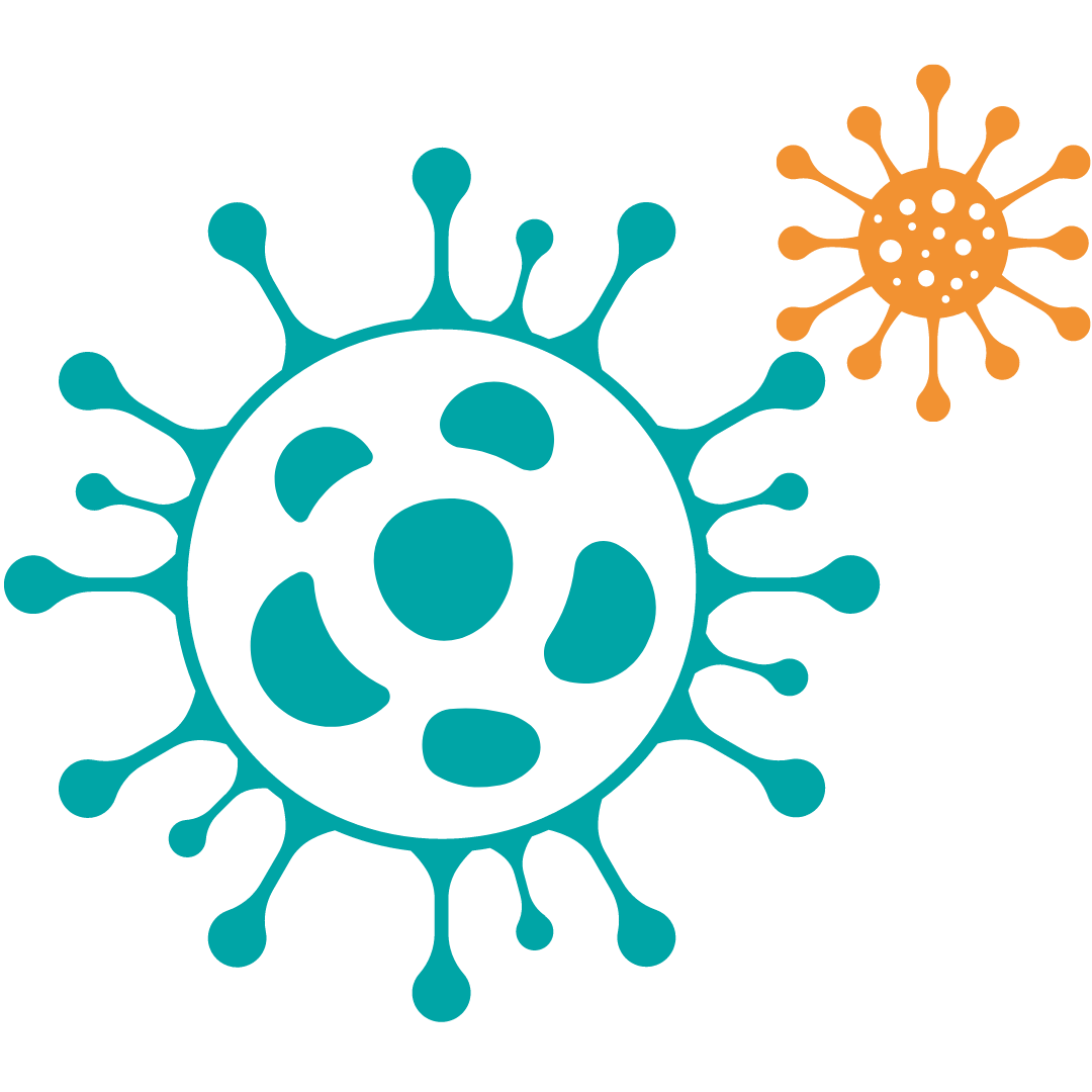 Covid 19 Diagnosticos Do Brasil
