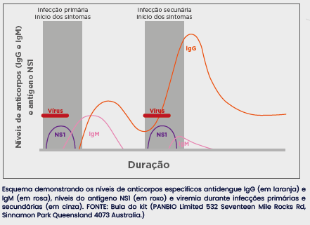 DENGUE