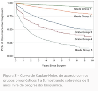 IMUNO-HISTOQUÍMICA PAINEL DE PRÓSTATA