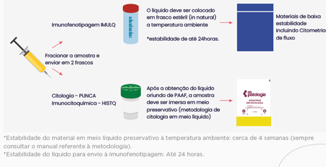 Lamina Linfoma anaplásico de grandes células (ALCL) associado ao implante mamário (BIA)