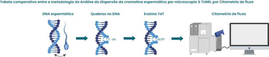 FRAGMENTAÇÃO DO DNA ESPERMÁTICO