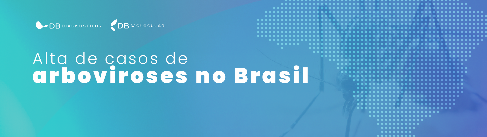 Alta de casos de arboviroses no Brasil alerta para a importância de um diagnóstico preciso  | Diagnósticos do Brasil