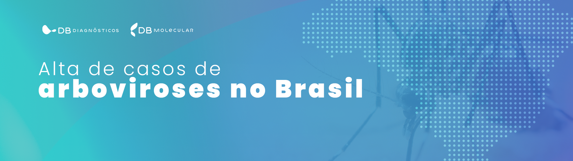 Alta de casos de arboviroses no Brasil alerta para a importância de um diagnóstico preciso 