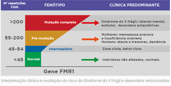 X FRÁGIL