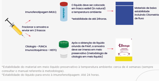 LÂMINA LINFOMA ANAPLÁSICO DE GRANDES CÉLULAS (ALCL) ASSOCIADO AO IMPLANTE MAMÁRIO (BIA)